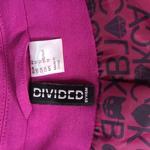 Divided Fuscia Blazer - Picture 4 of 4